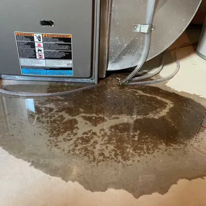 Appliance Leak Cleanup in Tedder, FL